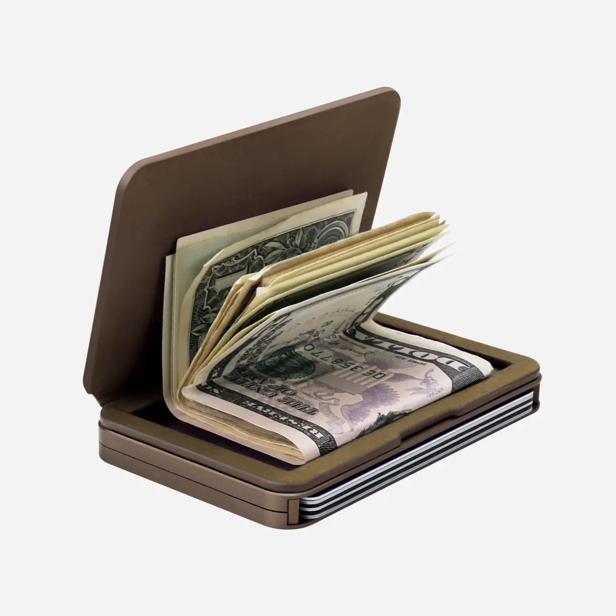 Bifold Module