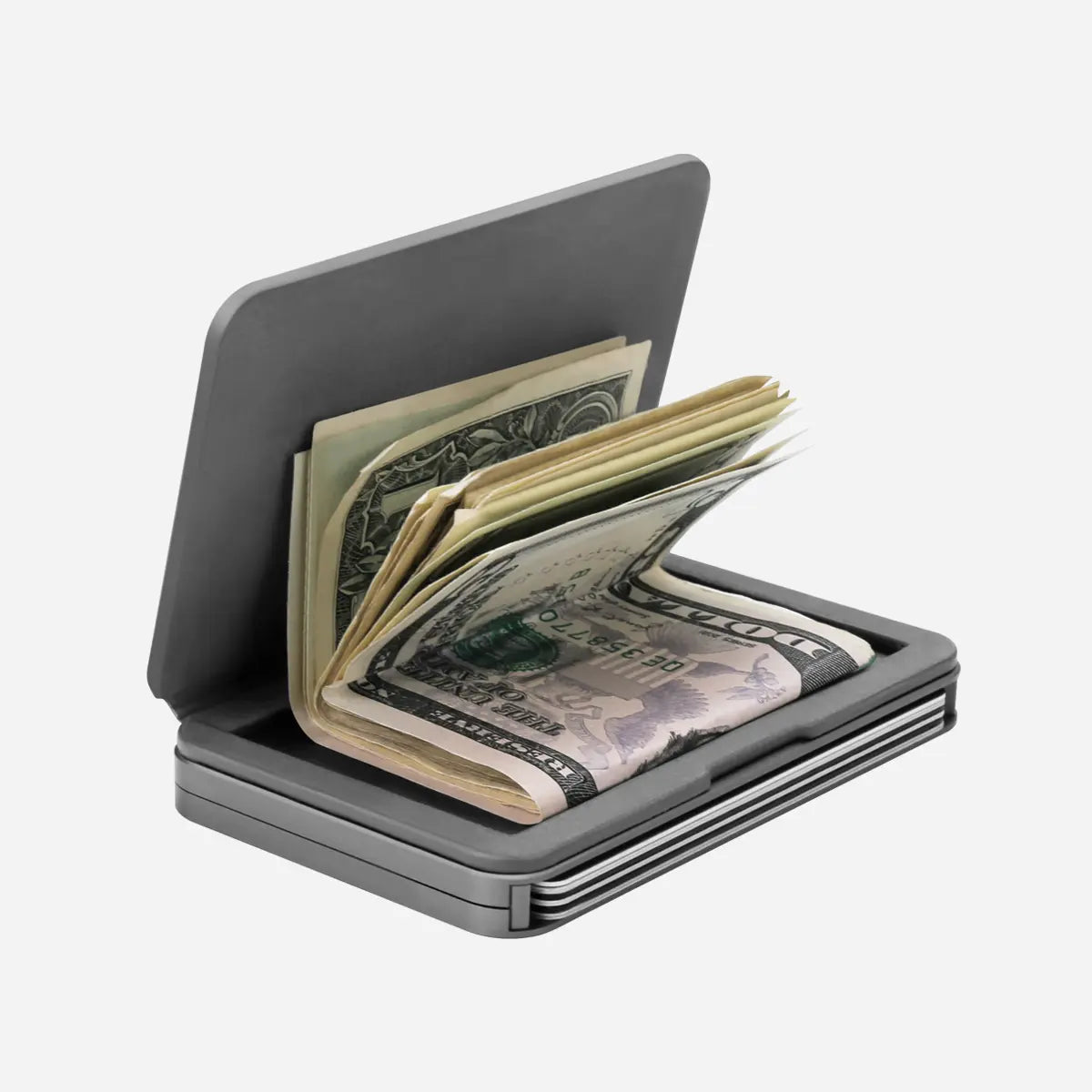 Bifold Module